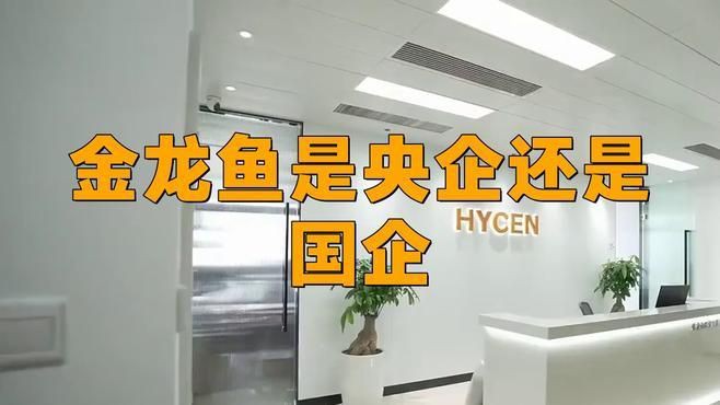 金龍魚公司介紹