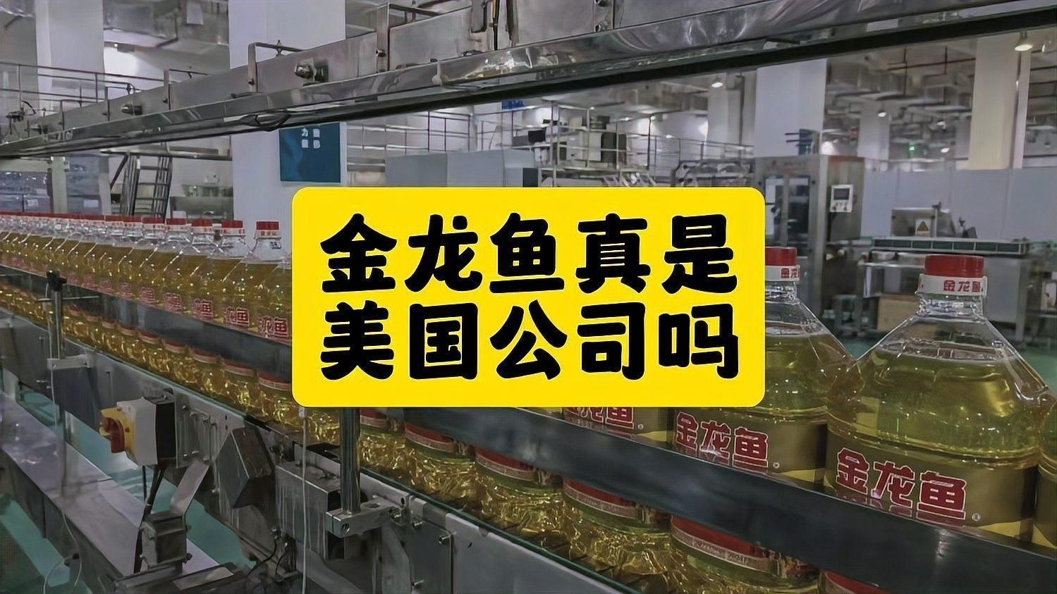 金龍魚公司介紹