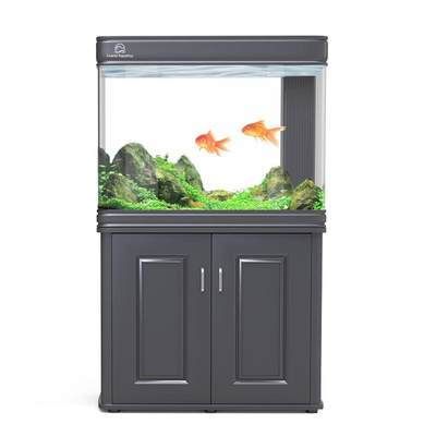 養(yǎng)龍魚上濾魚缸怎么樣：養(yǎng)龍魚上濾魚缸有什么優(yōu)缺點(diǎn)？