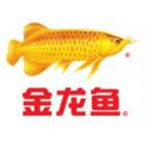 太原金龍魚