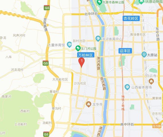 太原金龍魚