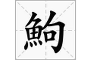 鮈魚怎么讀 龍魚百科 第3張 鮈魚怎么讀 鮈魚怎么讀 龍魚百科 第3張