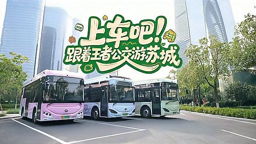 金龍魚品牌贊助過哪些文化活動？
