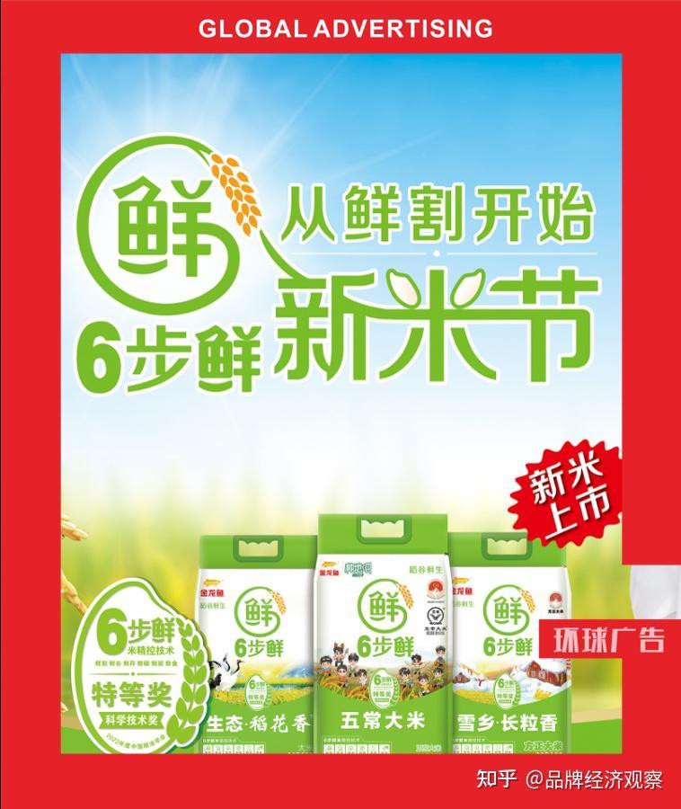 金龍魚品牌贊助過哪些文化活動？