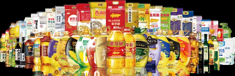 金龍魚品牌贊助過哪些文化活動(dòng)？