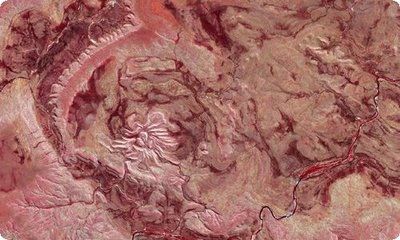 養龍魚的樂趣作文400字：養龍魚是一種讓人陶冶情操、享受生活的興趣愛好 養龍魚的樂趣作文400字：養龍魚是一種讓人陶冶情操、享受生活的興趣愛好 龍魚百科 第1張