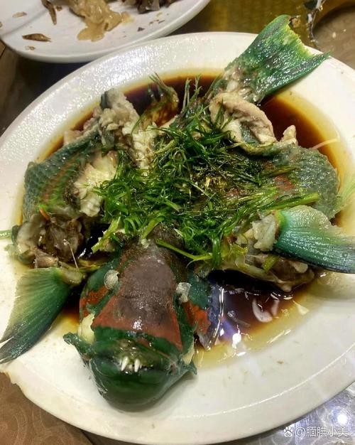 銀龍魚烹飪方法大全圖片