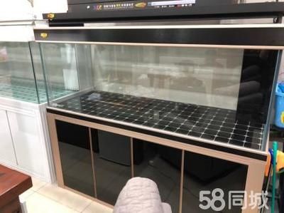 高端龍魚缸推薦品種有哪些：高端龍魚缸推薦品種 高端龍魚缸推薦品種有哪些：高端龍魚缸推薦品種 龍魚百科 第2張