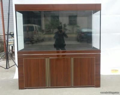 高端龍魚缸推薦品種有哪些：高端龍魚缸推薦品種 高端龍魚缸推薦品種有哪些：高端龍魚缸推薦品種 龍魚百科 第1張