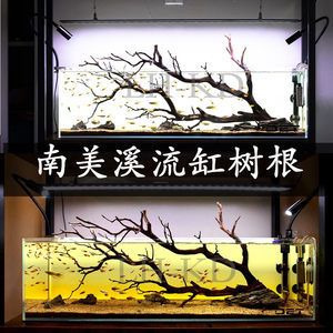 龍魚缸放沉木好還是杜鵑根好：沉木和杜鵑根哪個更好
