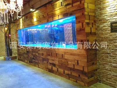 西安魚缸定做祥龍魚場地：西安魚缸定做哪里好 西安魚缸定做祥龍魚場地：西安魚缸定做哪里好 龍魚百科 第3張