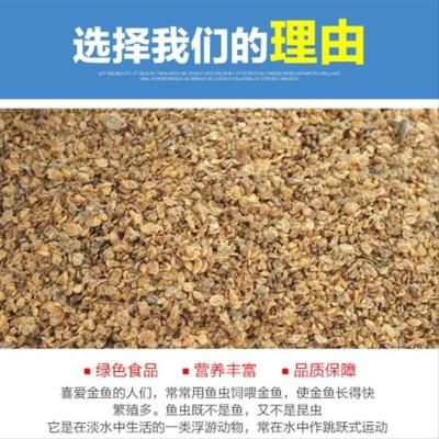觀賞魚飼料選擇指南：觀賞魚飼料品牌推薦