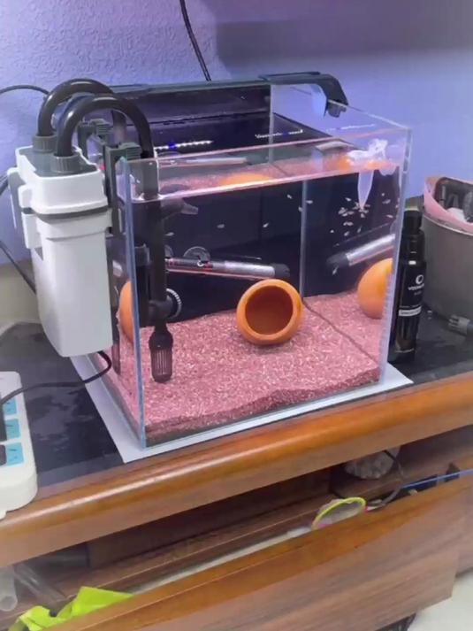 如何檢測水質是否適合換水？ 如何檢測水質是否適合換水？ 龍魚百科 第3張