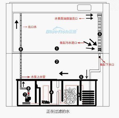 龍魚(yú)缸底濾制作方案圖：魚(yú)缸底濾制作方案圖