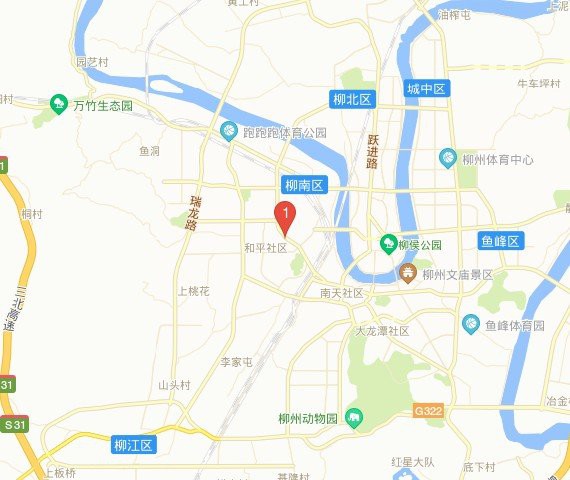 柳州龍魚專賣店
