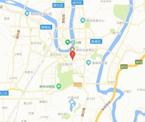 柳州龍魚專賣店