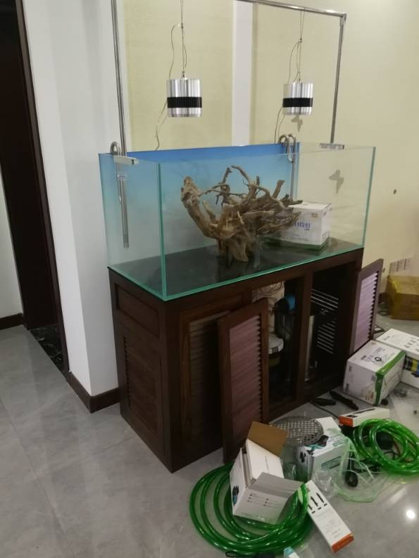 龍魚魚缸燈離水面多高合適