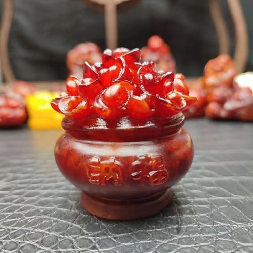 紅龍涎是什么？