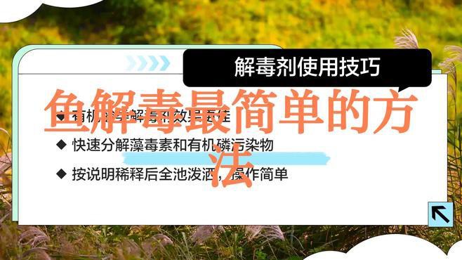 紅龍魚中毒后如何急救？
