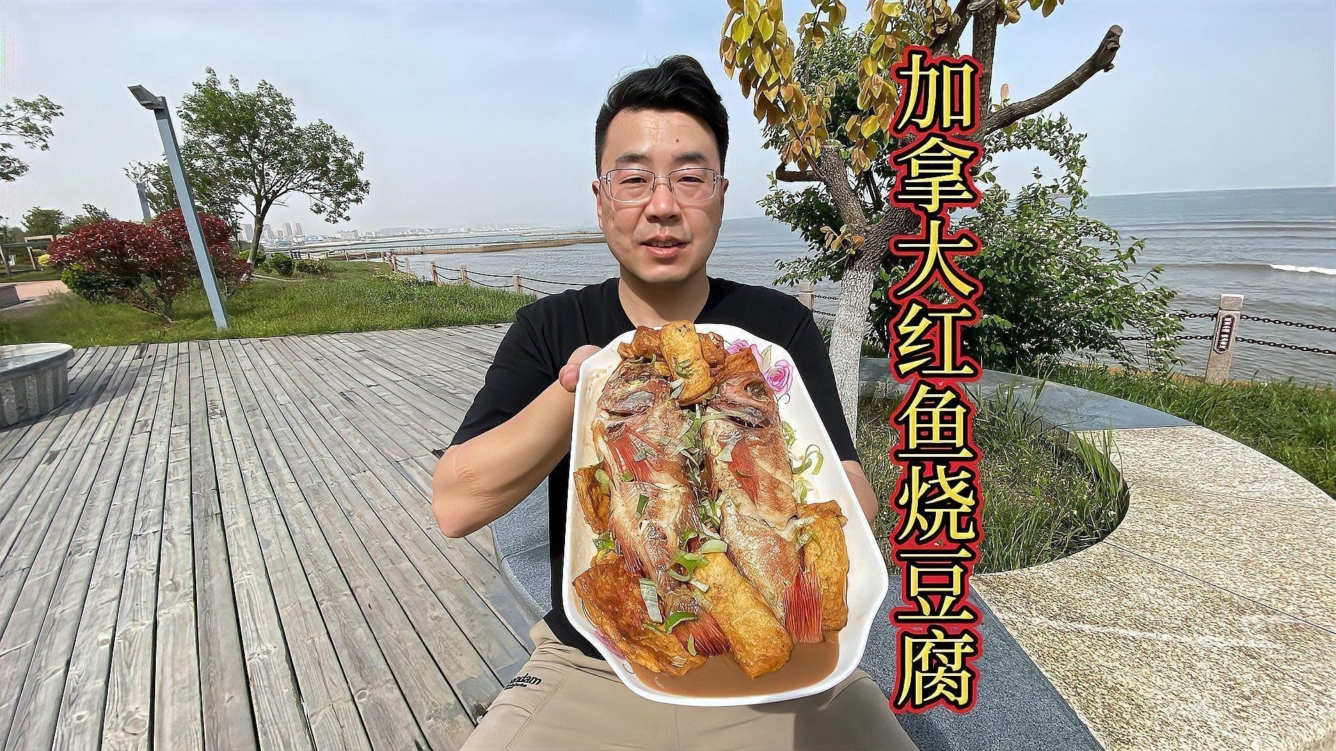 龍魚最好的配魚是什么魚