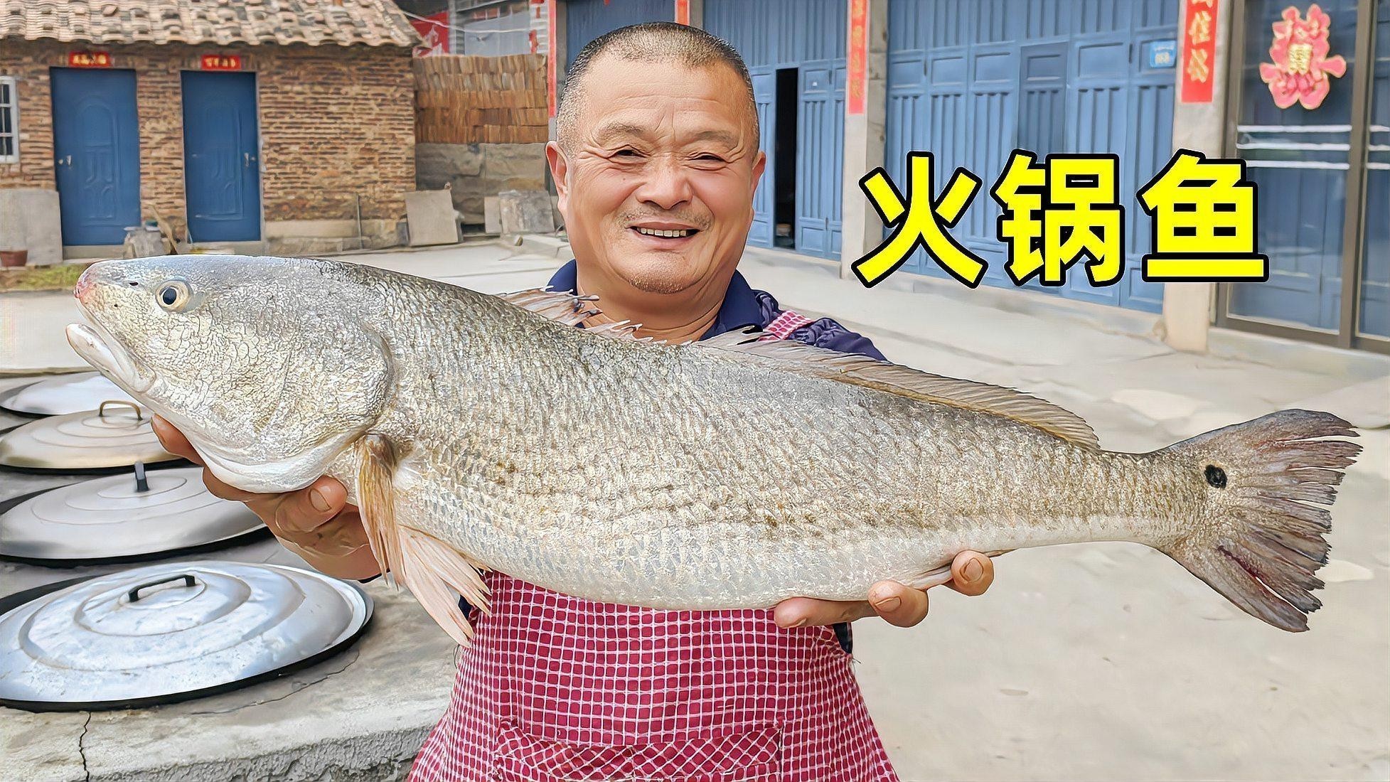 龍魚最好的配魚是什么魚