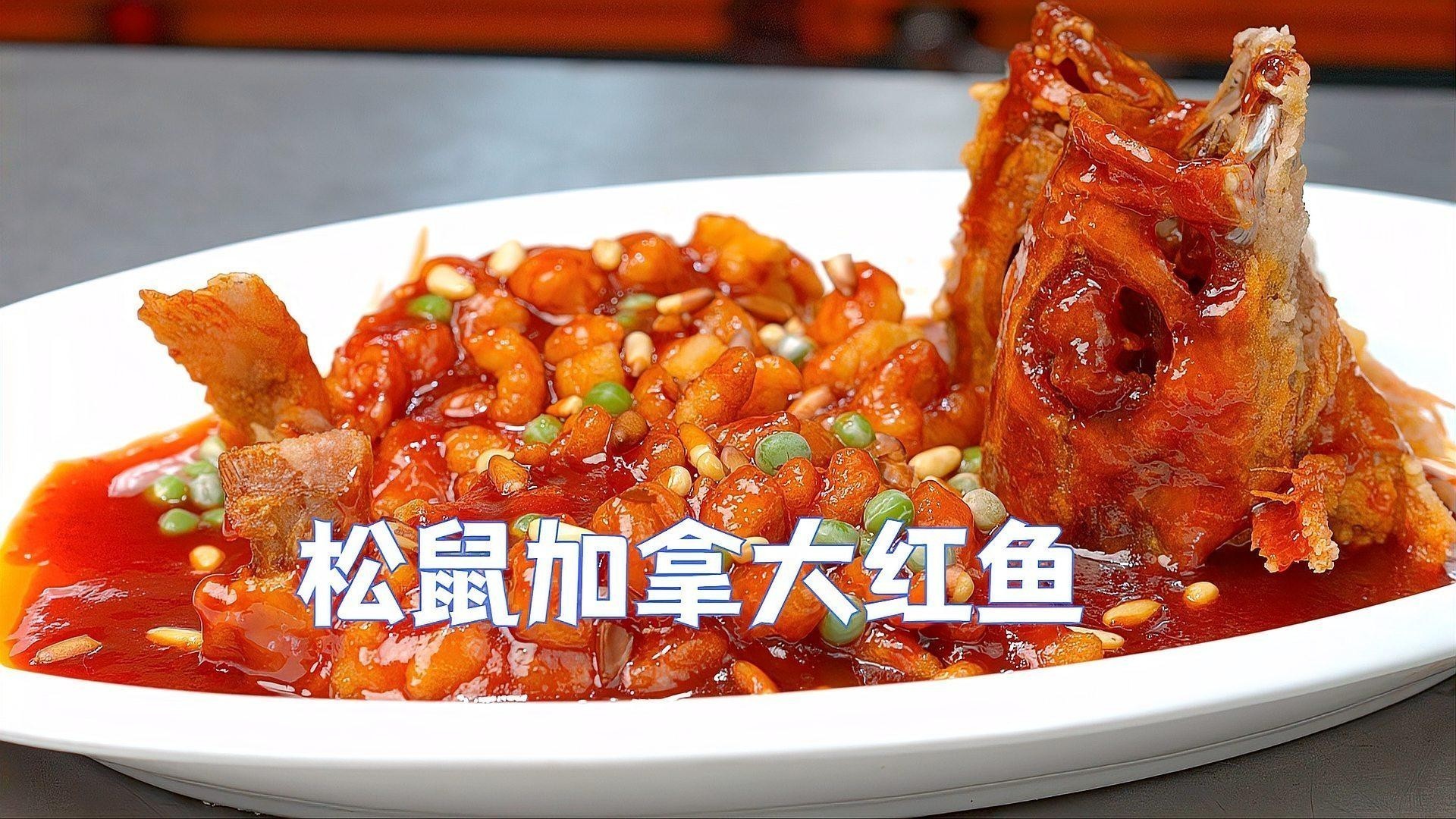 龍魚最好的配魚是什么魚