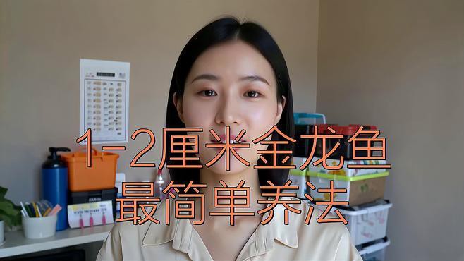 金龍魚養殖方法視頻教程