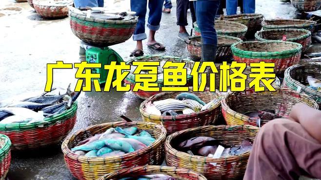 號半龍魚的市場價格走勢如何？