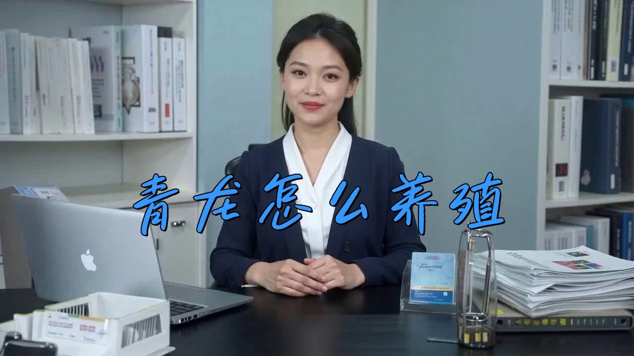 青龍魚好養嗎