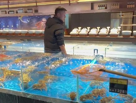 青龍魚好養嗎