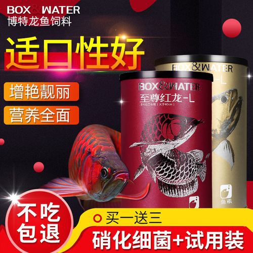 紅龍魚活體魚怎么養(yǎng)好看