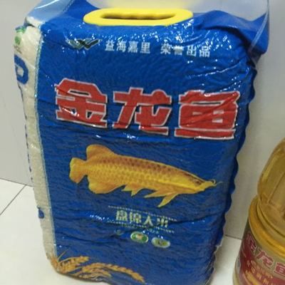 金龍魚散尾【金龍魚為什么會散尾】