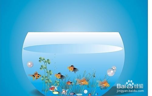 金龍魚需不需要配魚食：金龍魚單養(yǎng)一條還是加點(diǎn)配魚好