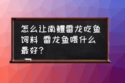 雷龙鱼喂饲料长得快吗视频：观赏鱼饲料成分解析雷龙鱼饲料成分解析雷龙鱼饲料成分解析