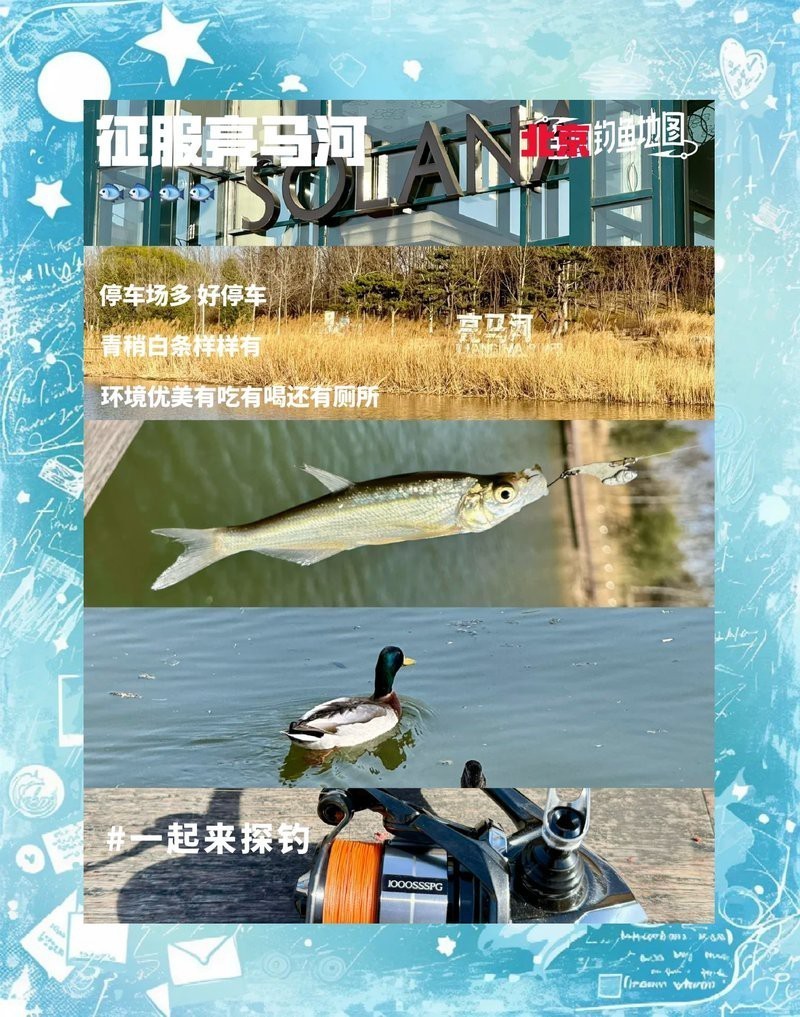 北京哪里的龍魚比較好釣魚
