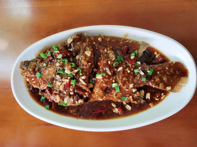 北京哪里的龍魚比較好釣魚