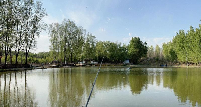 北京哪里的龍魚比較好釣魚
