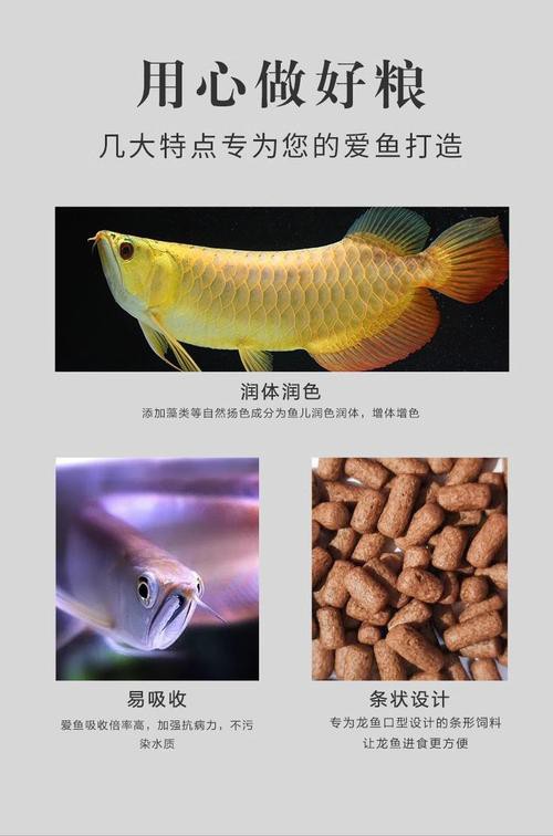 如何選擇適合龍魚的專用飼料？ 如何選擇適合龍魚的專用飼料？ 龍魚百科 第6張