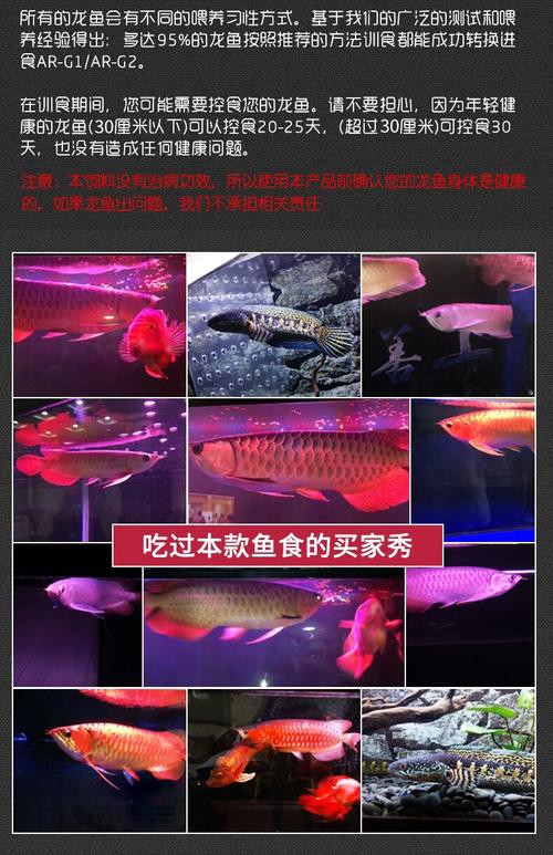 如何選擇適合龍魚的專用飼料？ 如何選擇適合龍魚的專用飼料？ 龍魚百科 第8張