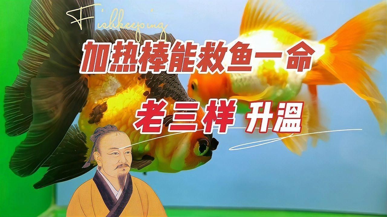 能再詳細介紹一下“老三樣”療法嗎？