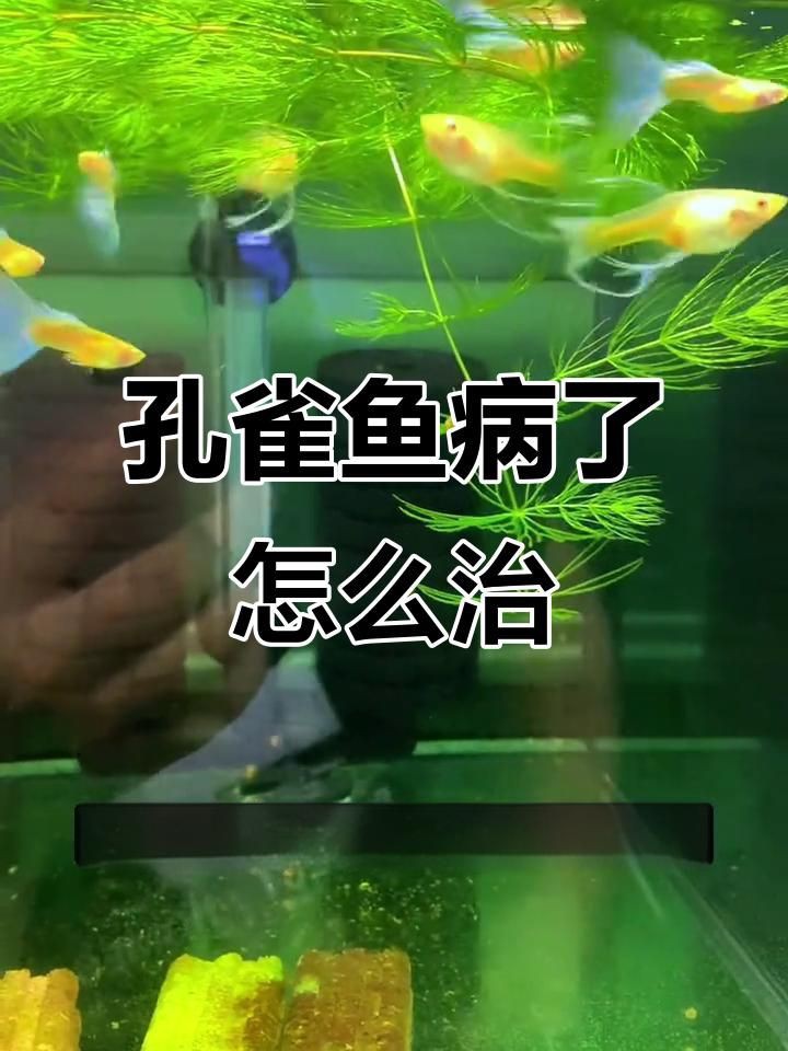 能再詳細介紹一下“老三樣”療法嗎？