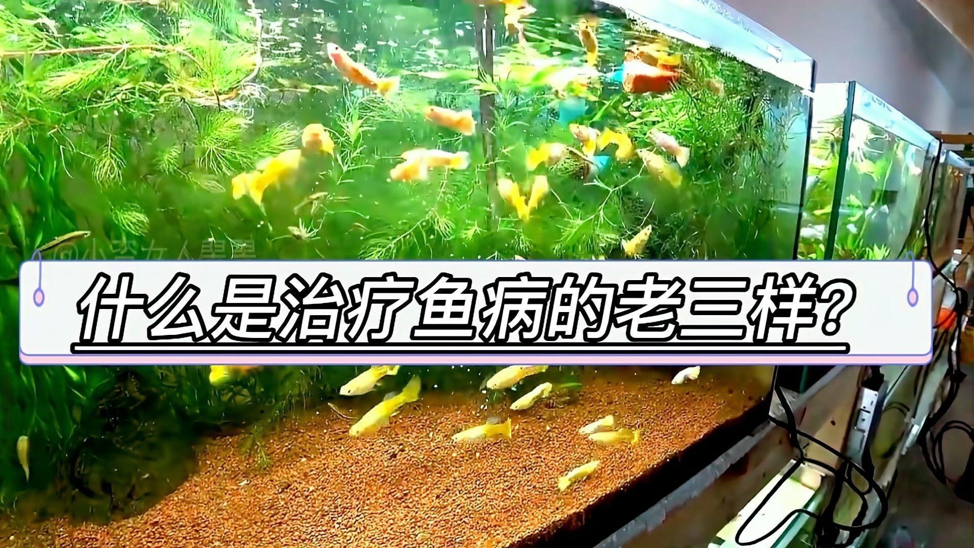 能再詳細介紹一下“老三樣”療法嗎？