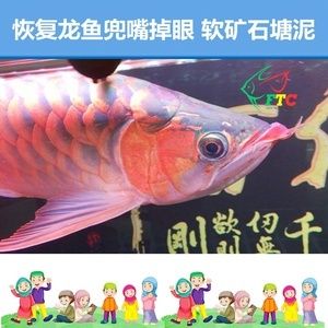 龍魚怎么防止兜嘴：龍魚怎么防止兜嘴龍魚怎么防止兜嘴