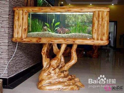 小型魚缸魚屎怎么處理，小型魚缸中魚屎的處理方法 小型魚缸魚屎怎么處理，小型魚缸中魚屎的處理方法 龍魚百科 第4張