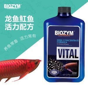 龍魚水霉怎么治療：龍魚水霉病治療后護理,如何選擇龍魚水霉藥