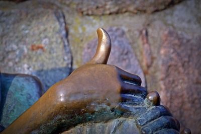 什么龍魚最便宜的好養（如何選擇最便宜且好養的龍魚品種）