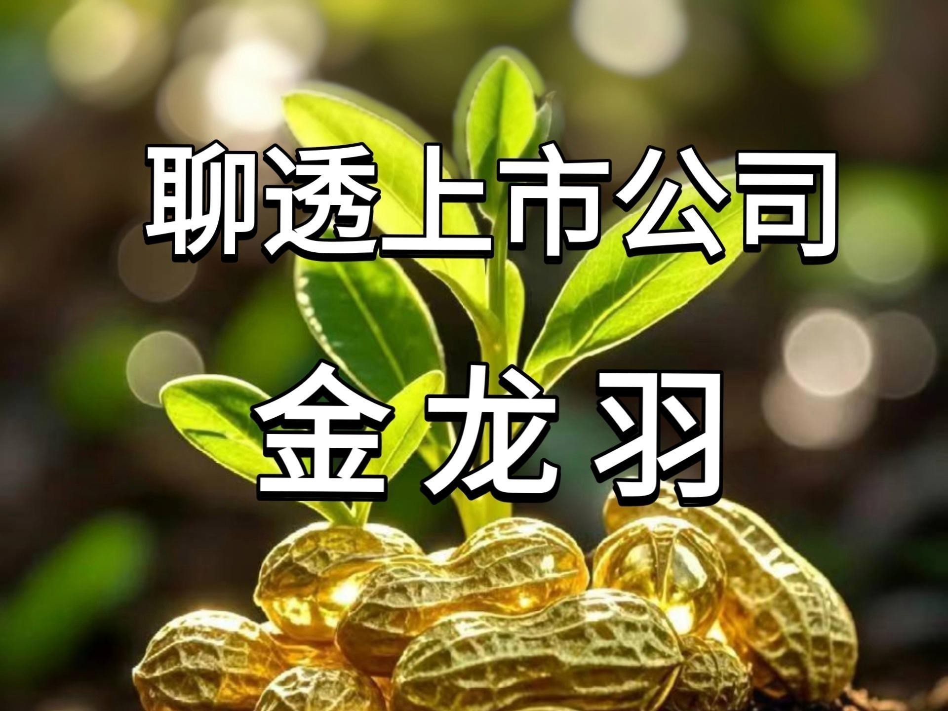 金龍羽的財務(wù)狀況如何？