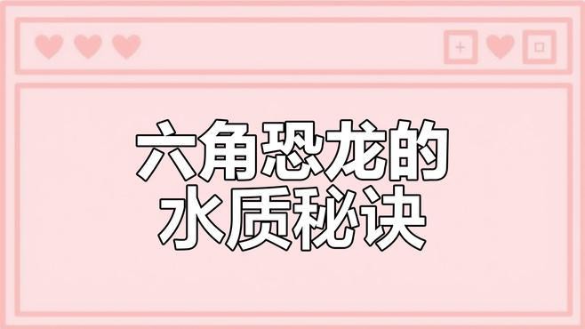 六角恐龍換水時需要注意什么？