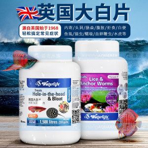 龍魚大白片是什么：龍魚大白片在使用過程中不會(huì)損害水草、無脊椎生物及硝化細(xì)菌