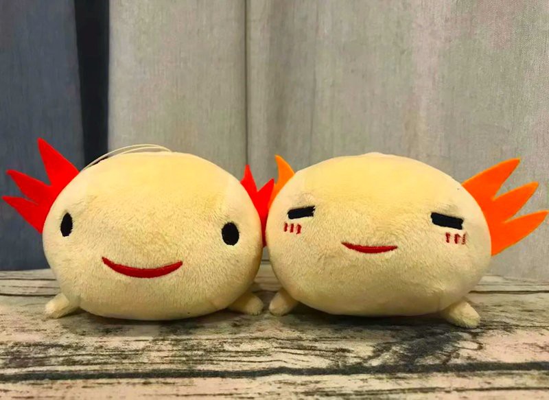 六角恐龍魚吃多少紅蟲